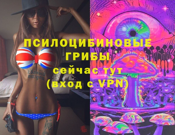 mdma Медвежьегорск