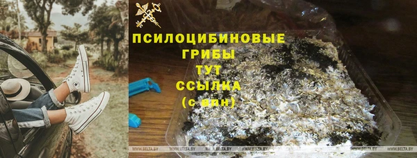 mdma Медвежьегорск