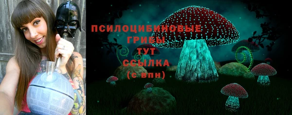 mdma Медвежьегорск