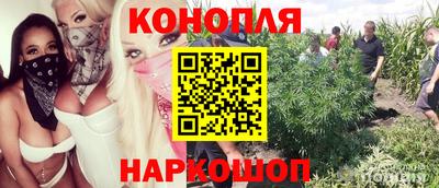 ГАЛЛЮЦИНОГЕННЫЕ ГРИБЫ Азнакаево