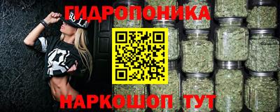a pvp Пушкино