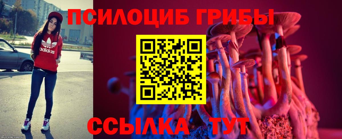 Осинники  где продают наркотики  Галлюциногенные грибы Cubensis  Вход с VPN  Псилоцибиновые грибы Psilocybine cubensis 