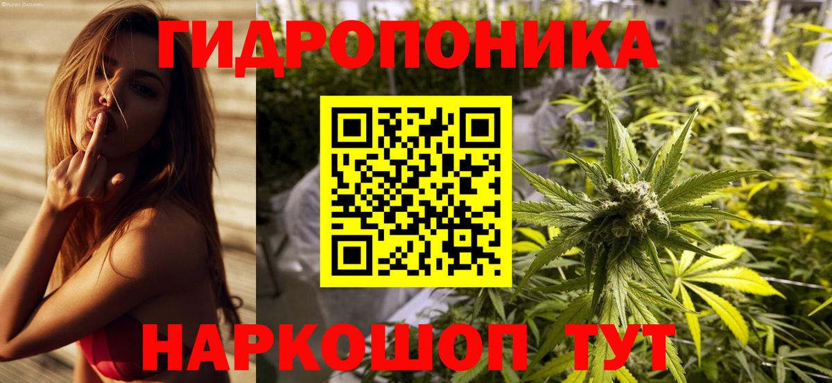 Осинники  Шишки марихуана THC 21%  Вход с VPN  Марихуана White Widow  МАРИХУАНА семена  Каннабис сатива 
